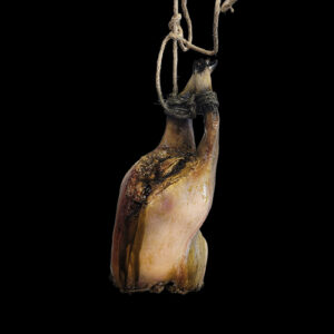 MEDIUM ROTTING LOWER PIG