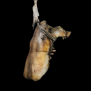 MEDIUM ROTTING PIG UPPER CAP