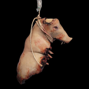MEDIUM BLOODY  PIG UPPER SKULL