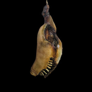 ROTTING PIG PART GUTTED w/ RIBS