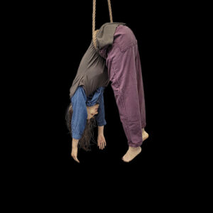 DM WALLFLOWER -HAIRPIN